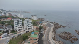 당신의안목그라스