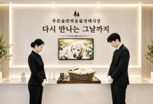 전남반려동물장례식장 푸른솔