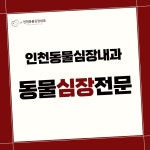 인천동물심장내과