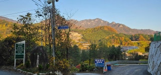 솔밭펜션캠핑장