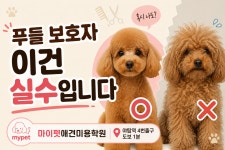 마이펫애견미용분당점학원