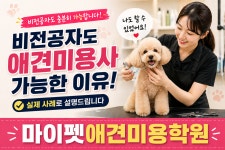 마이펫애견미용분당점학원