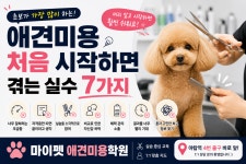 마이펫애견미용분당점학원