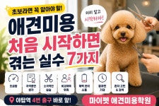 마이펫애견미용분당점학원