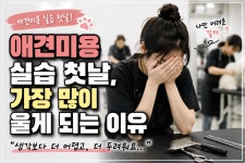 마이펫애견미용분당점학원