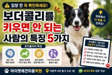 마이펫애견미용분당점학원
