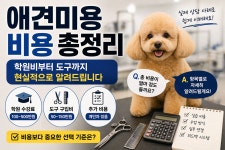 마이펫애견미용분당점학원