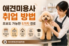 마이펫애견미용분당점학원
