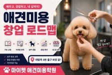 마이펫애견미용분당점학원