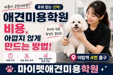 마이펫애견미용분당점학원