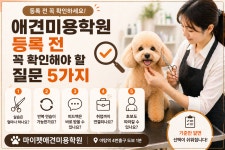 마이펫애견미용분당점학원