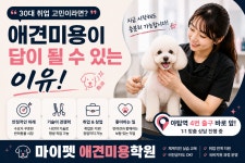 마이펫애견미용분당점학원