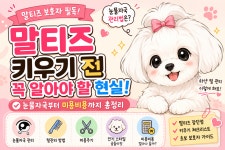 마이펫애견미용분당점학원