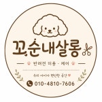 꼬순내살롱