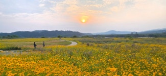 도구머리펜션