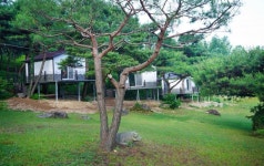 서대산약용자연휴양림