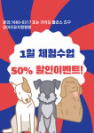 왕왕 강아지애견유치원 마포점