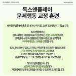 독스 앤 플레이