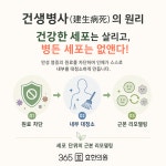 365효한의원