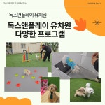 독스 앤 플레이