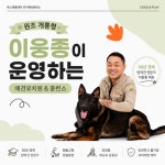 독스 앤 플레이