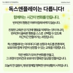 독스 앤 플레이