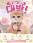 수원고양이분양 강아지분양 드림캣안심분양센터
