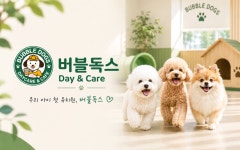 버블독스 김포공항점
