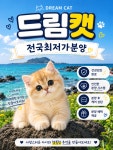수원고양이분양 강아지분양 드림캣안심분양센터