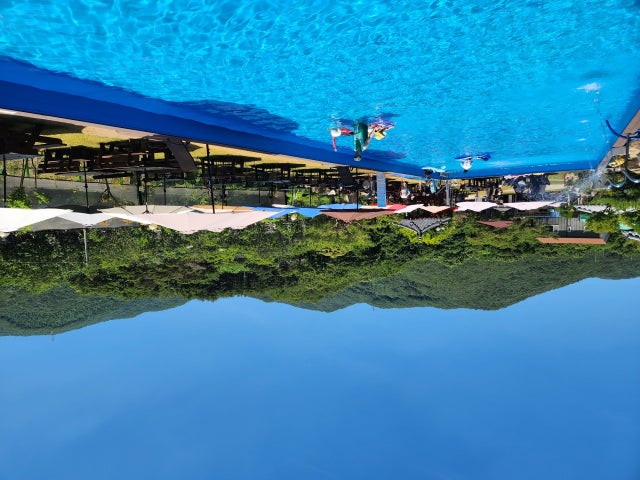 학선정