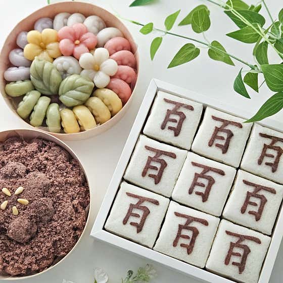 소담연 사진