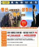 온솔여행사