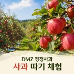 DMZ사과농원