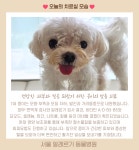 서울알레르기동물병원
