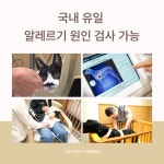 서울알레르기동물병원