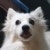 leesomee17 썸네일