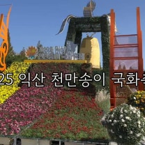 익산 가을 국화꽃축제 여행 가볼만한곳 10월 놀거리 볼거리 여행지 추천