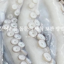 문어손질법 꺄끗하게 문어손질하는방법 돌문어세척 씻는법 문어냉동보관