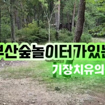부산숲놀이터가 있는 기장 치유의숲