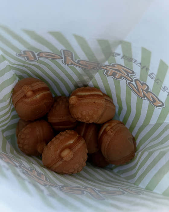 만쥬리아 호두잣붐 사진