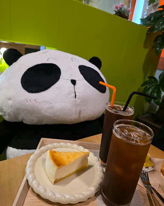 커피판다 사진
