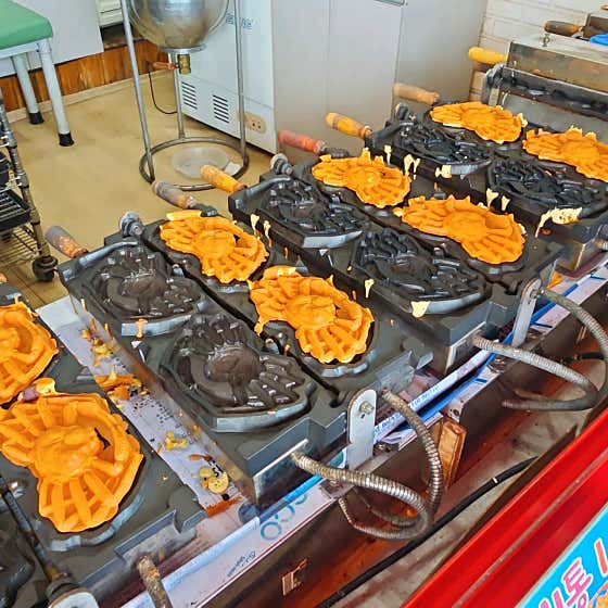 울진대게빵 사진