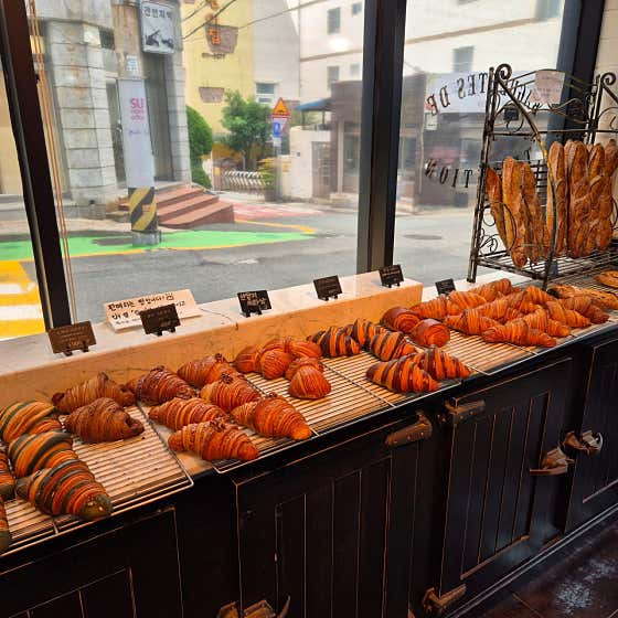 데조로의집 사진