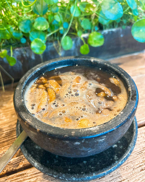 솔바람소리 사진