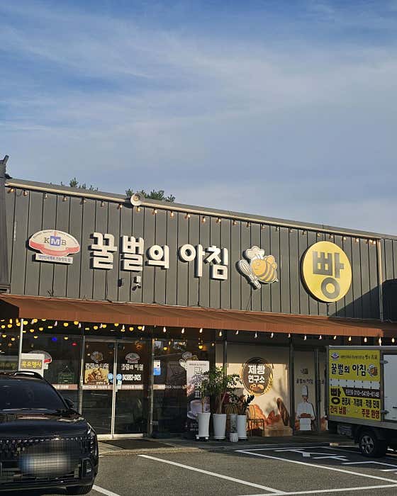 꿀벌의아침 사진