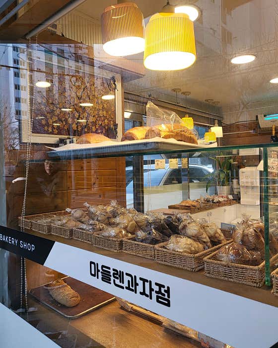 마들렌 사진