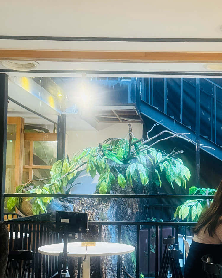 도우터 건대점