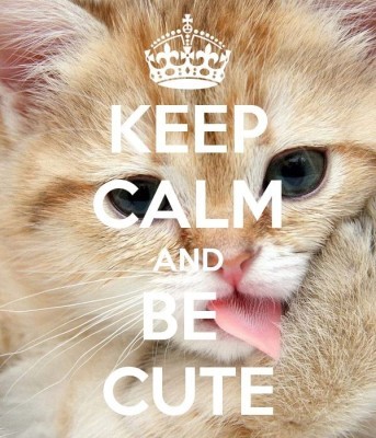 keep calm and...에 관한 40개의 최상의 Pinterest 이미지 keep calm and... | 웹