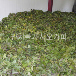 국내산 100% 강원도 청정 민통선내 펀치볼재배 가시오가피 추출액(일반형) 80mlx60팩 : 오팜 착한농장 장터