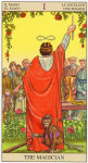 뉴비젼 타로카드 로스카라베오 New Vision Tarot : 타로서점
